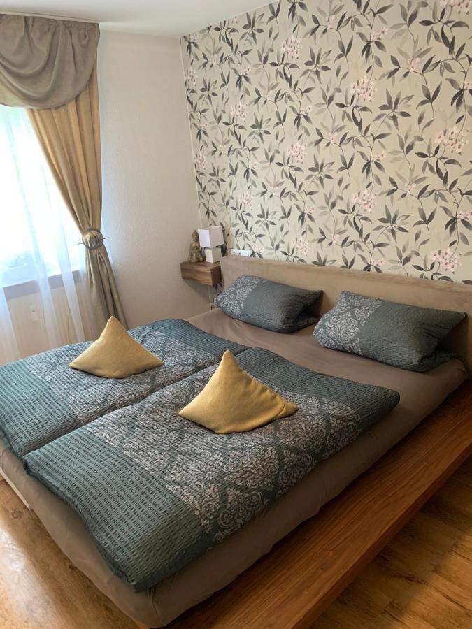 Apartment Saxonia Pirna Exterior photo